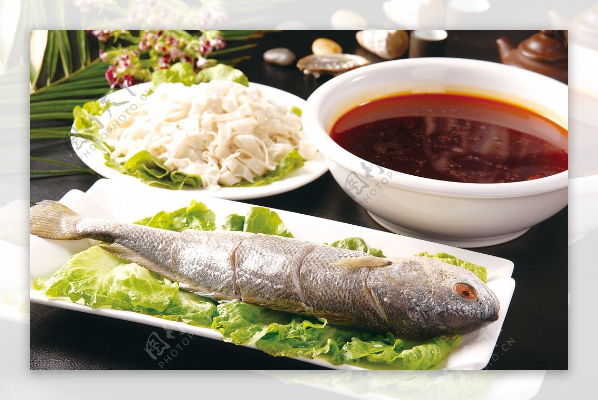 东海大王鱼图片