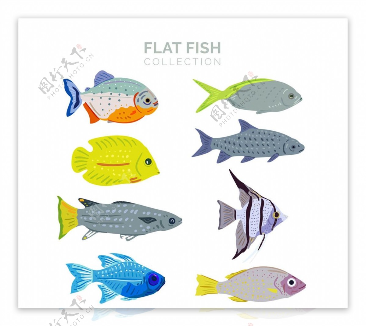 扁平化彩色鱼类图片
