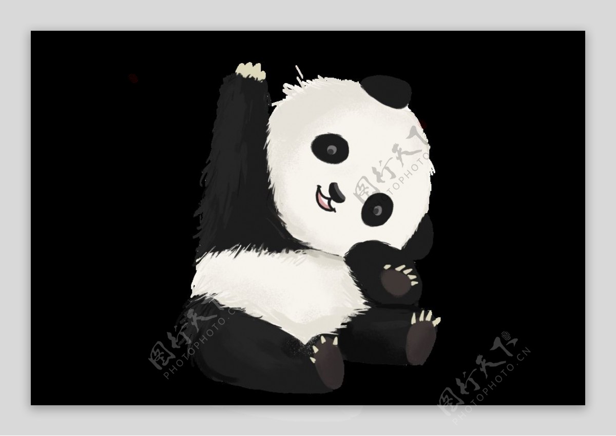 手绘小熊猫图片