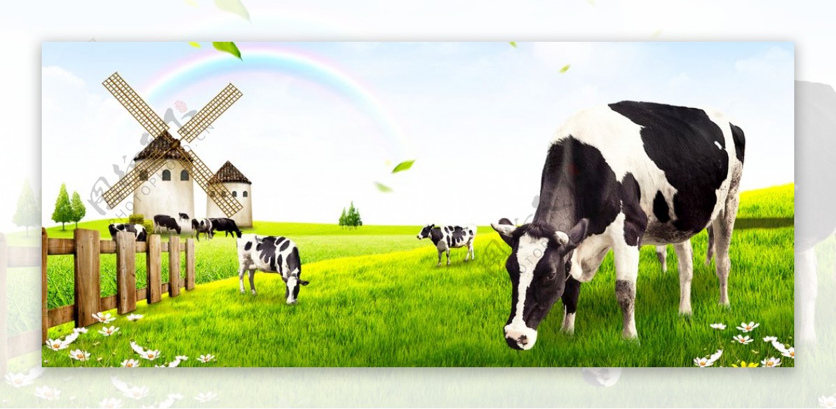 淘宝天猫乳制品牧场背景素材图片