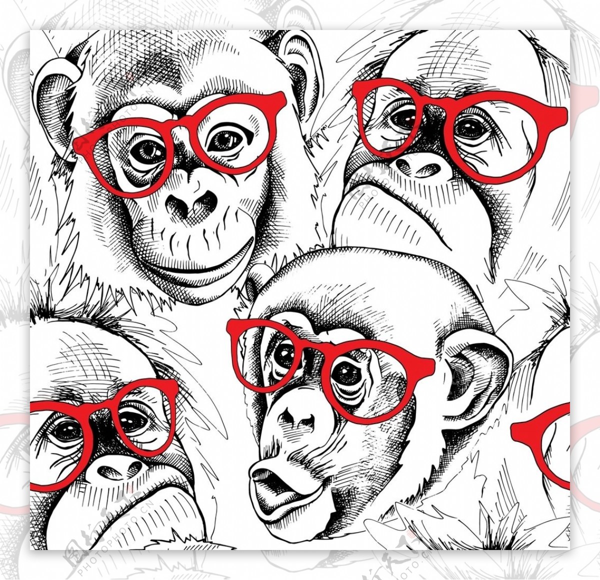 大猩猩丛林包包本本封面原图片