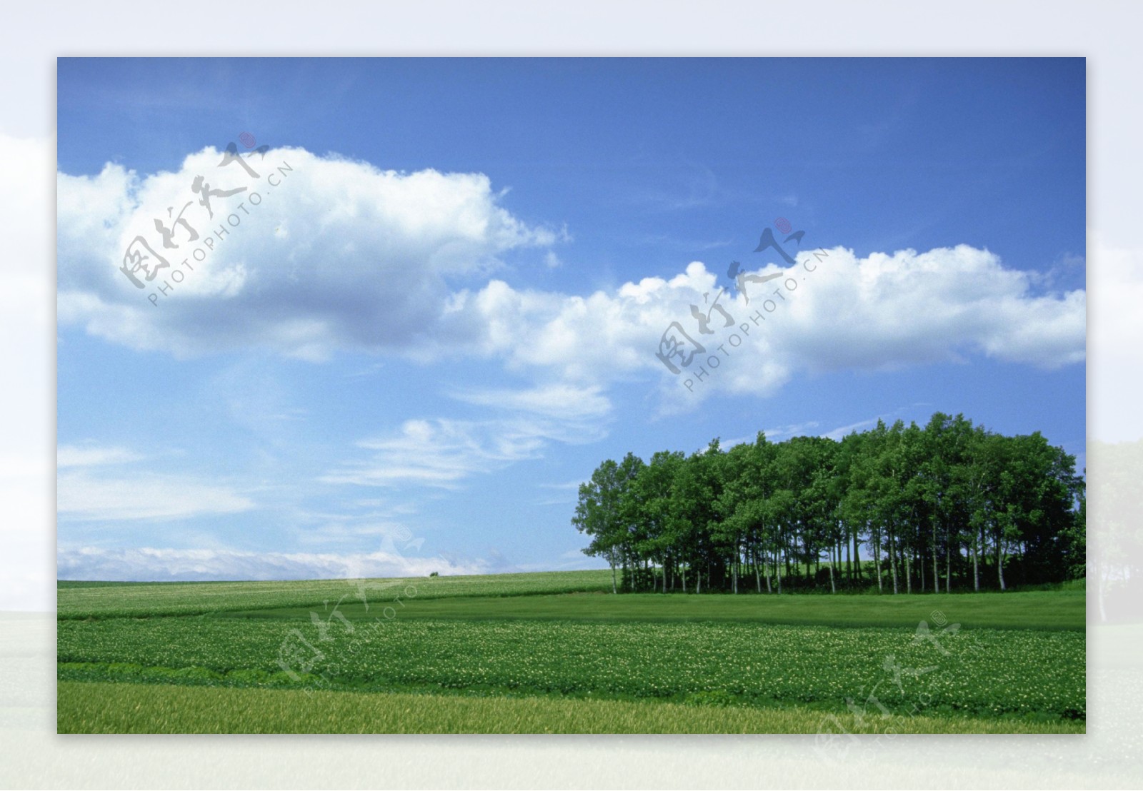 蓝天白云湖泊草原牧场图片