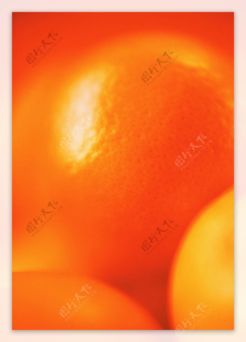 橙图片
