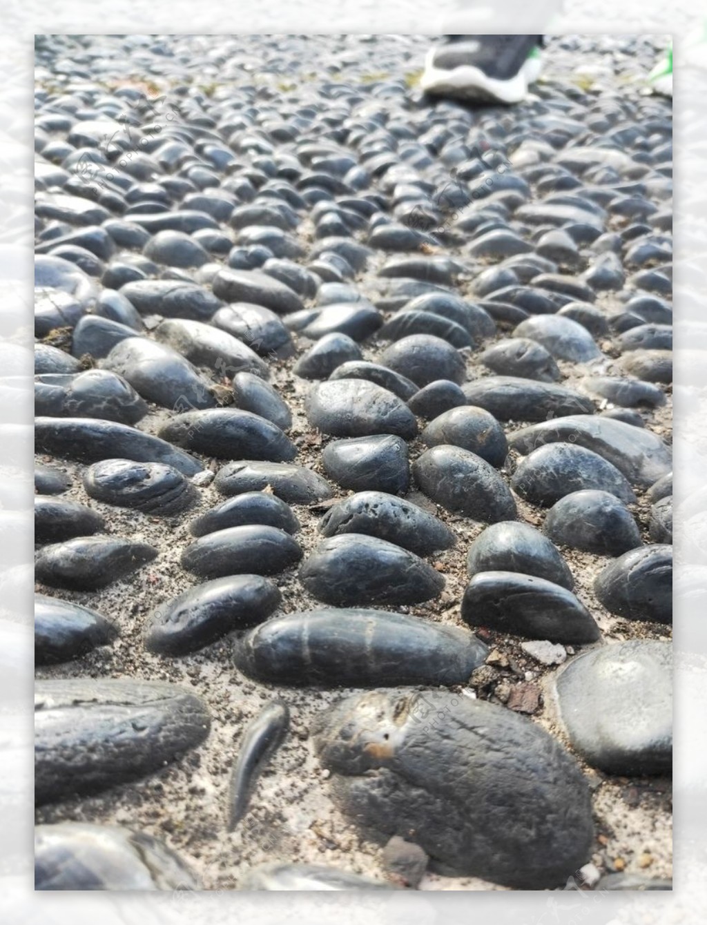 鹅卵石石头灰色成片图片
