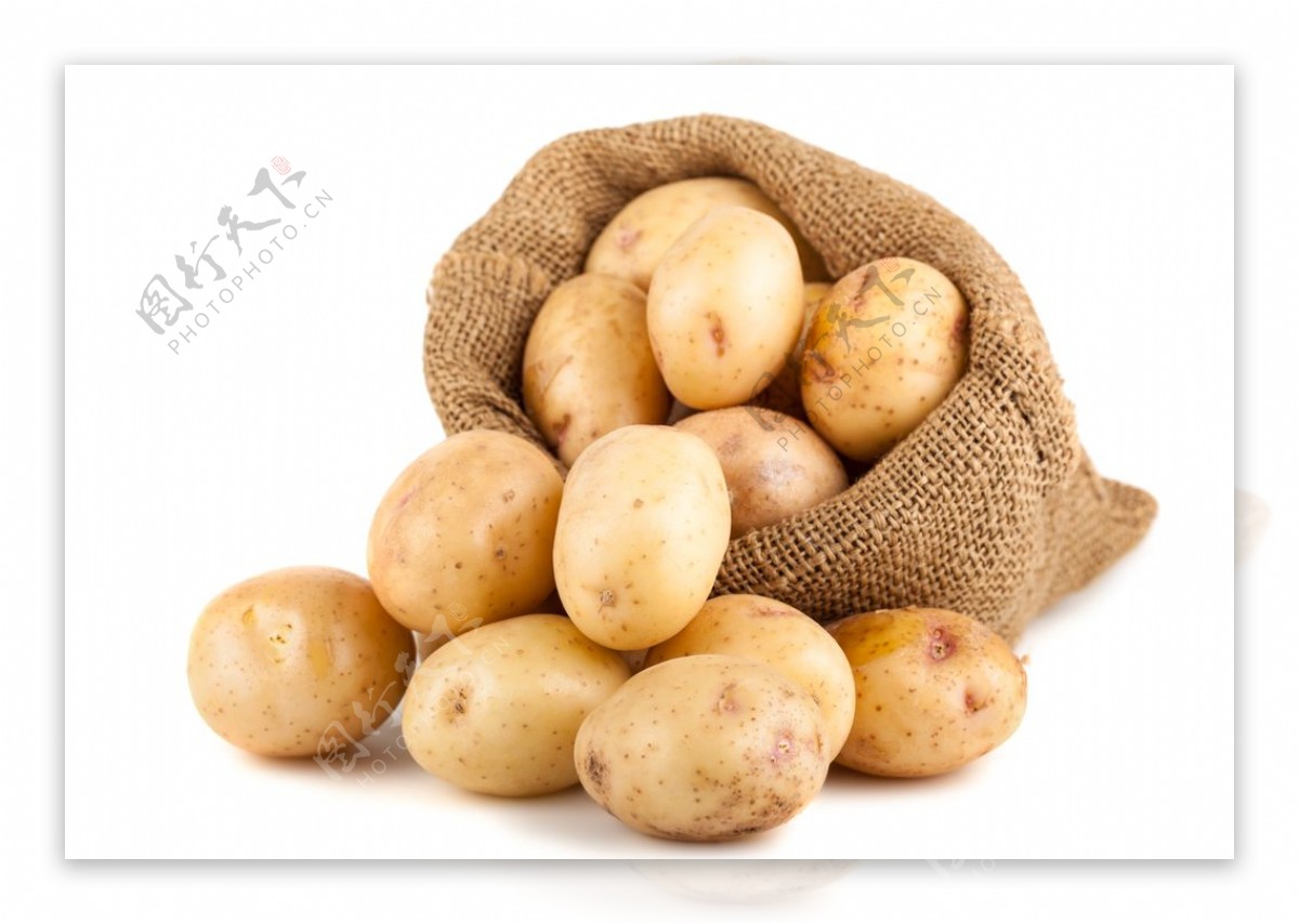 小土豆图片