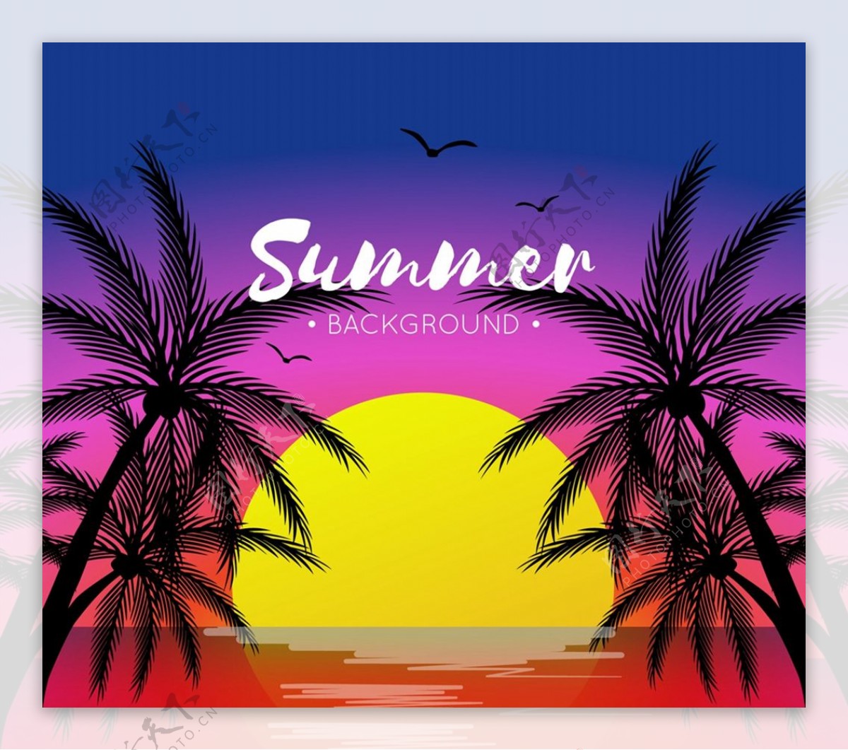 夏季夕阳下的棕榈树图片