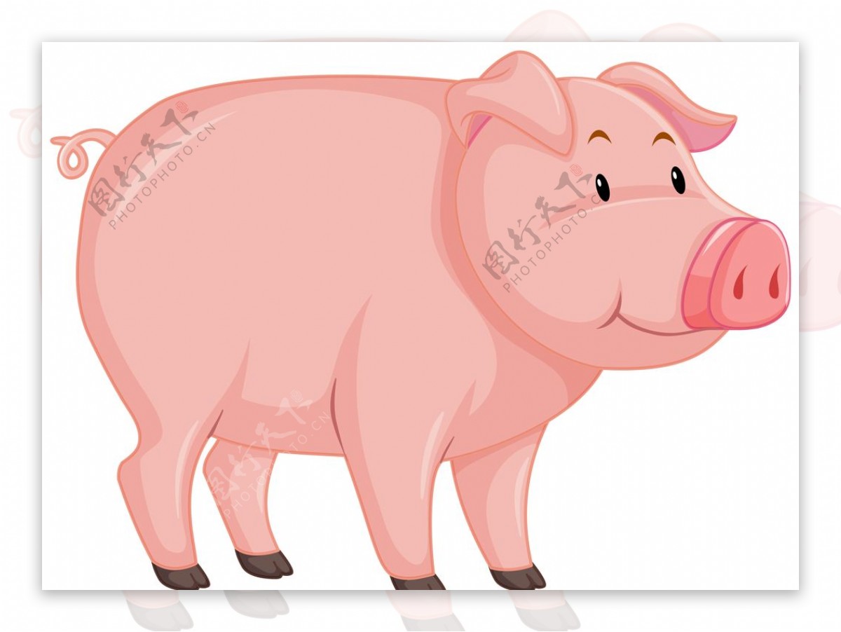 猪手绘猪卡通猪图片