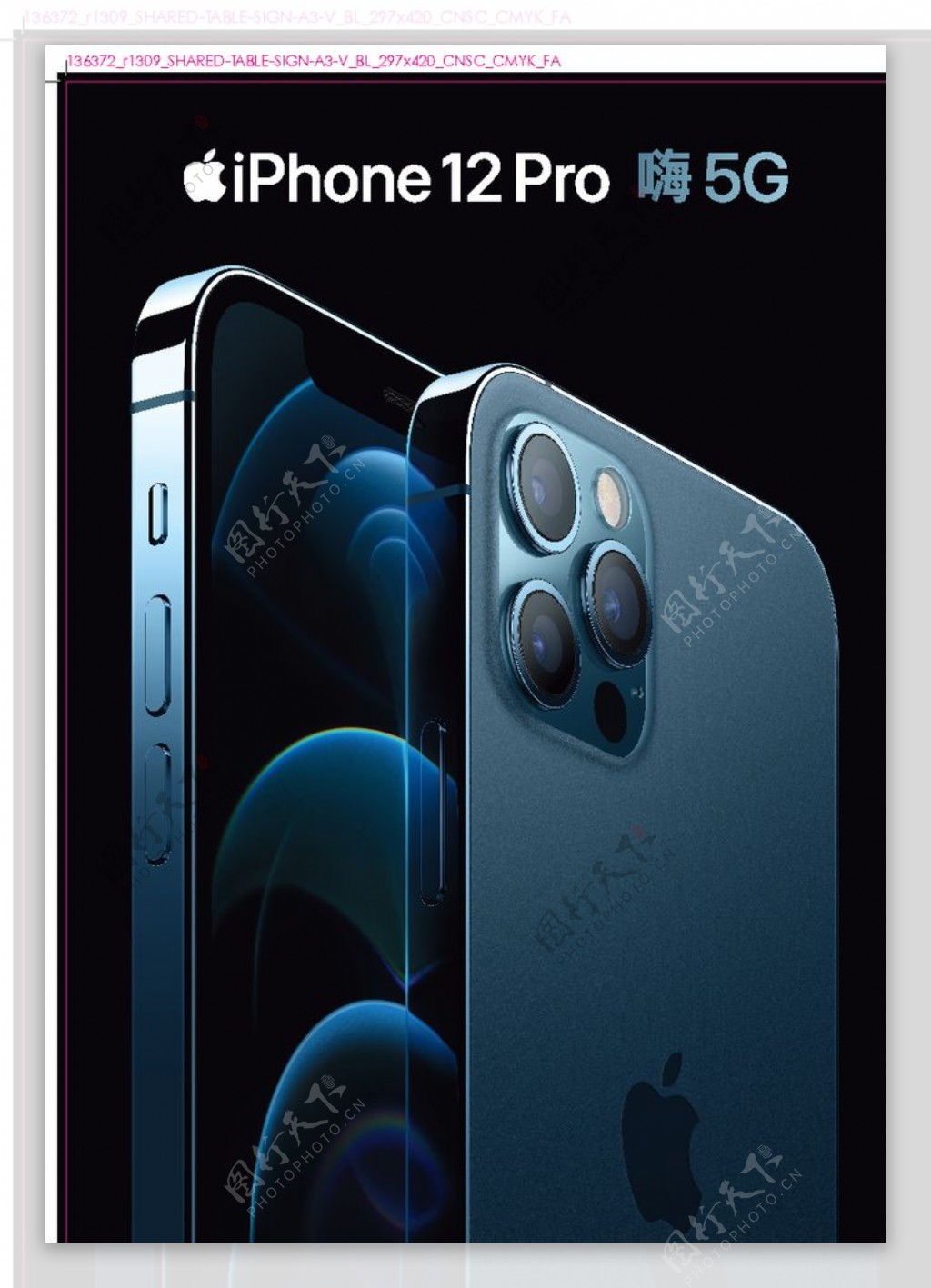 iphone12手机图片