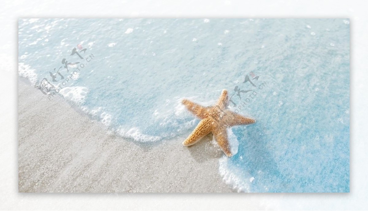 浅蓝沙滩治愈海星图片
