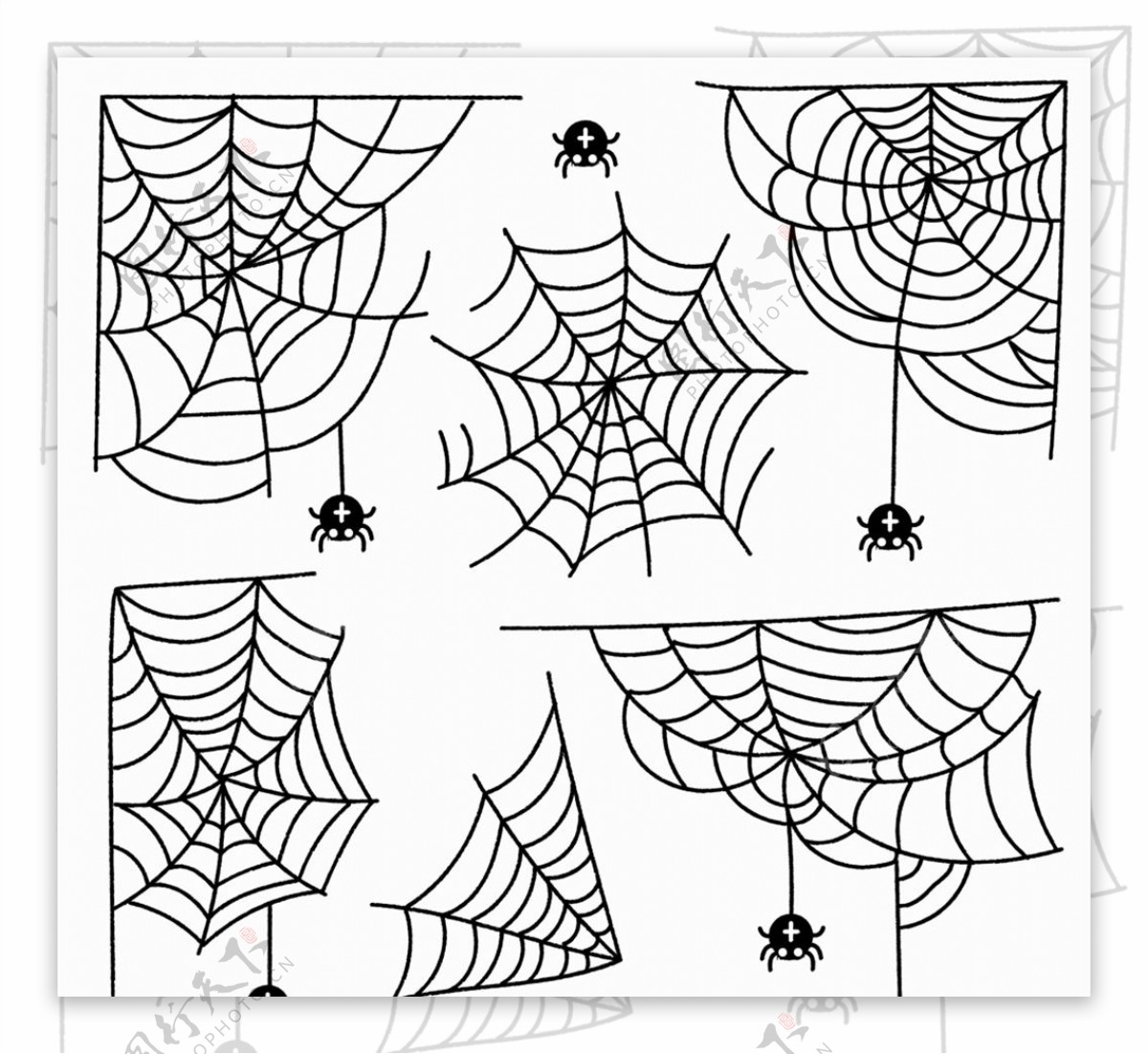 蜘蛛网和蜘蛛图片