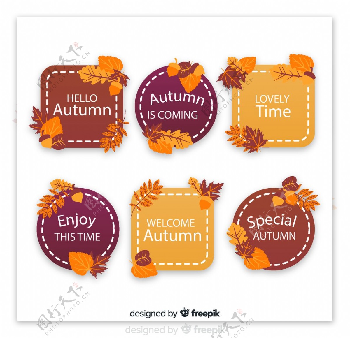 秋季树叶标签矢量图片
