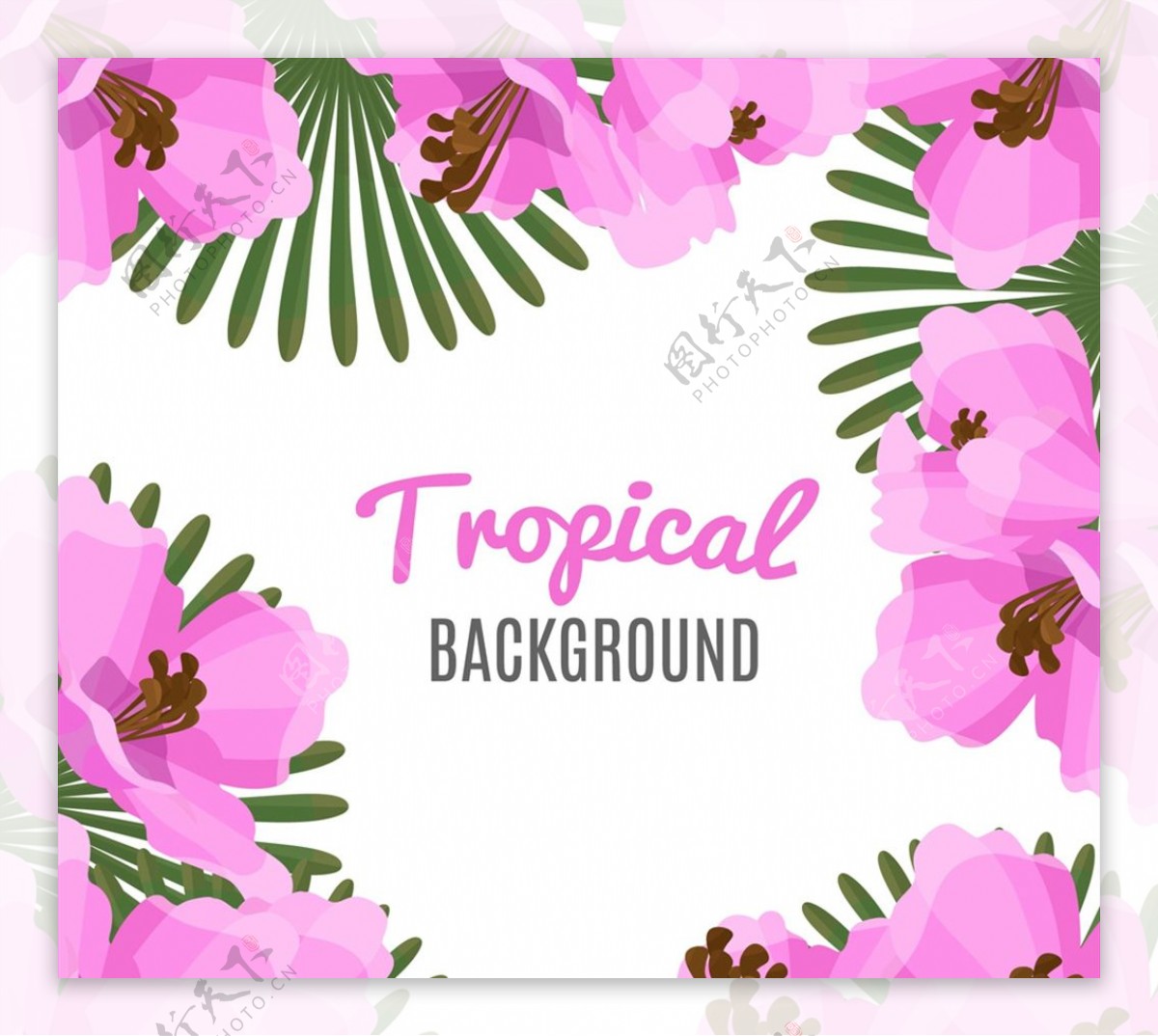 粉色热带花卉背景图片