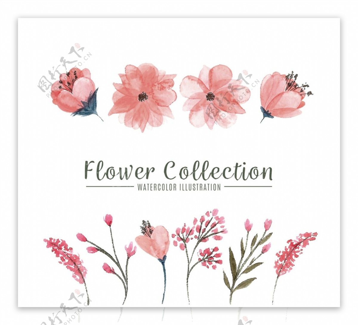 水彩绘粉色花卉图片