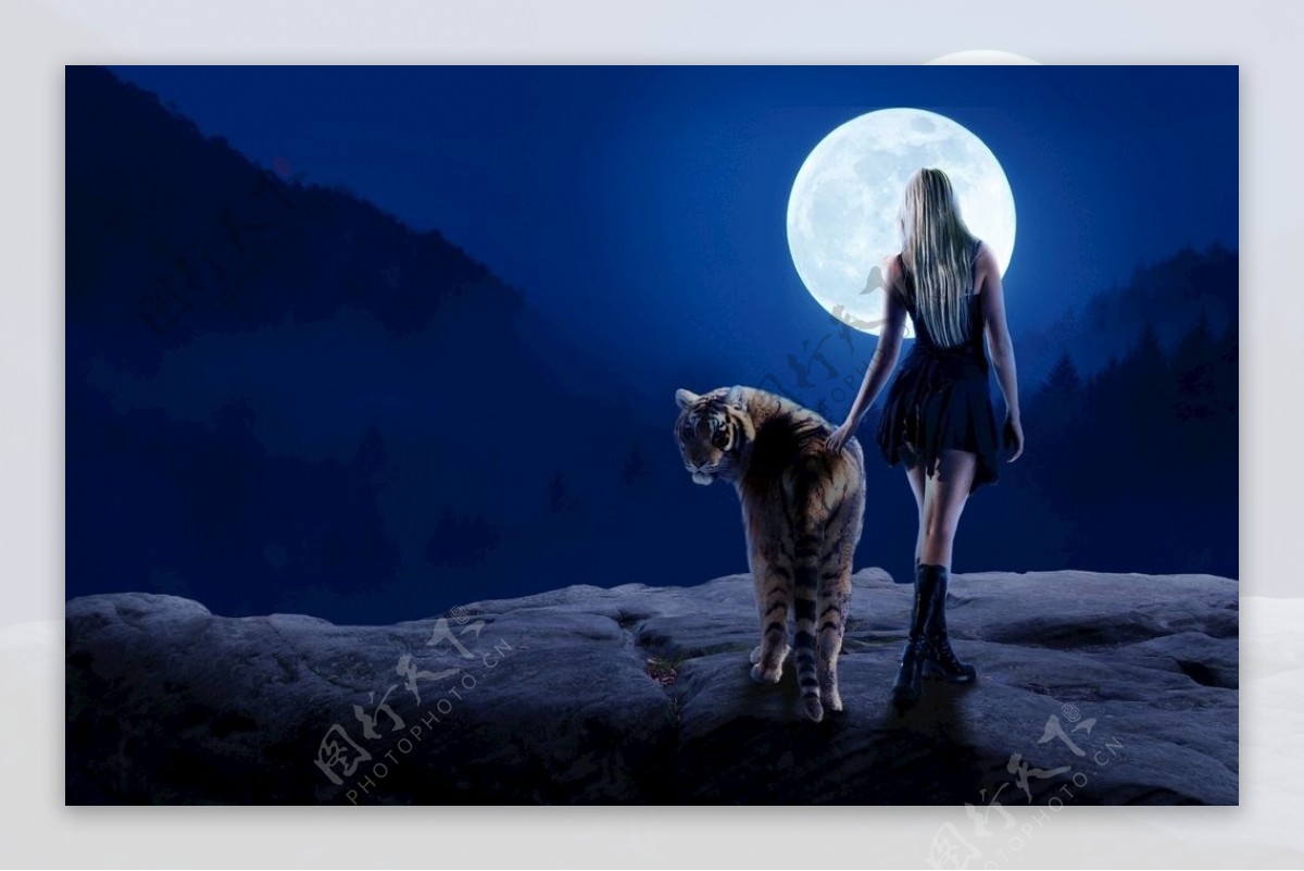 月光下的老虎图片