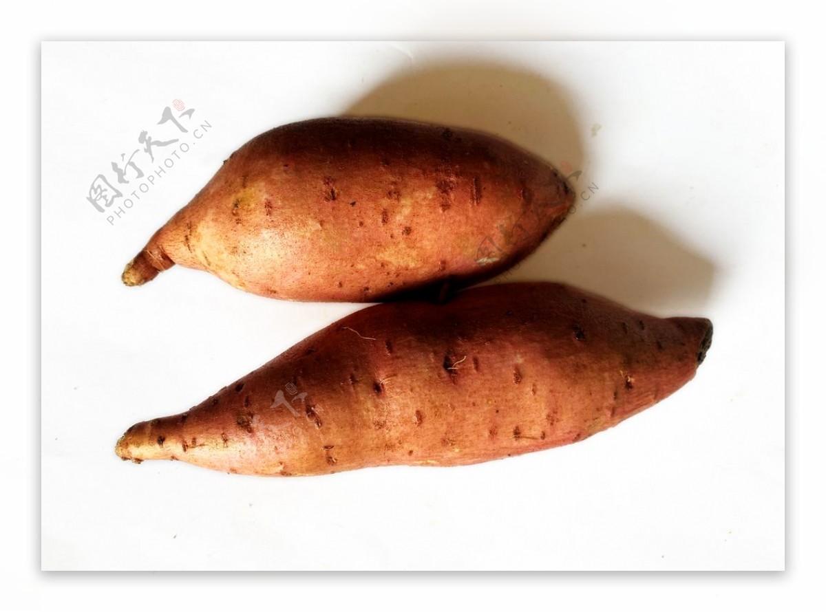 农家红薯图片
