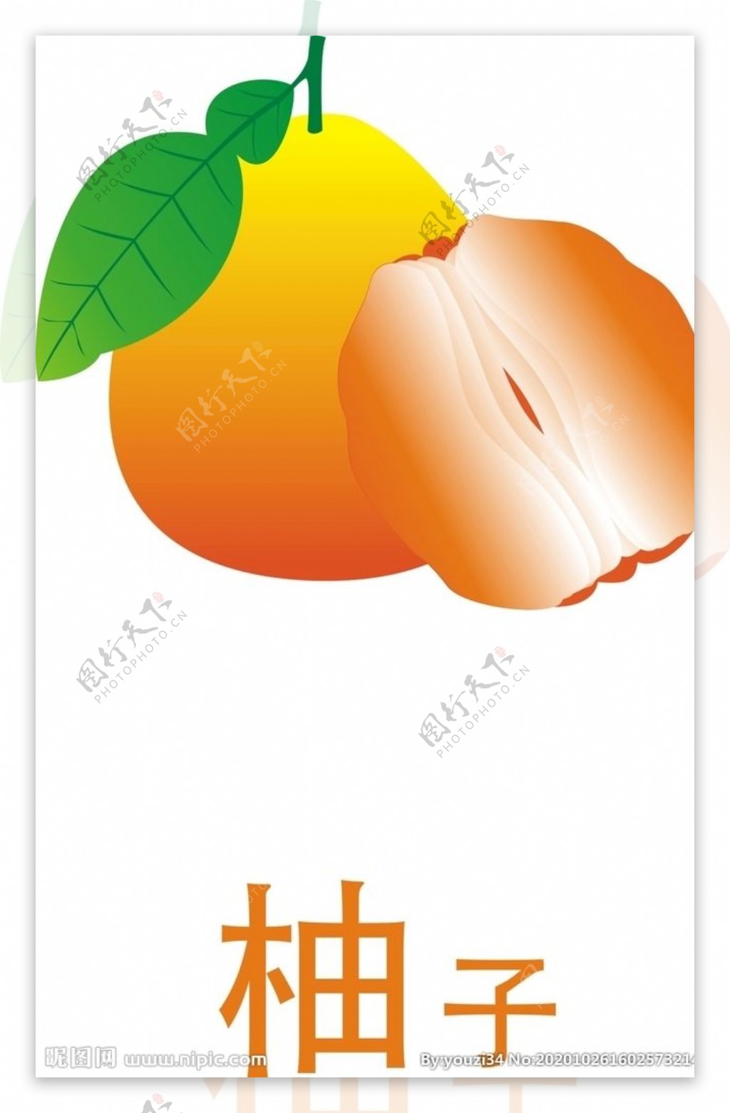 柚子矢量图图片