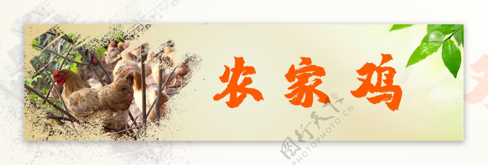农家鸡banner图片