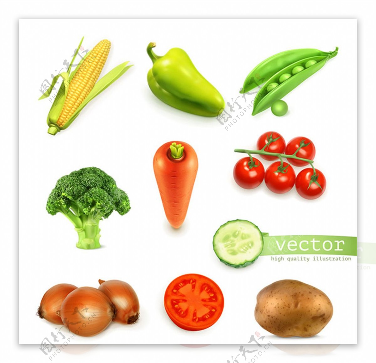 矢量卡通蔬菜图片