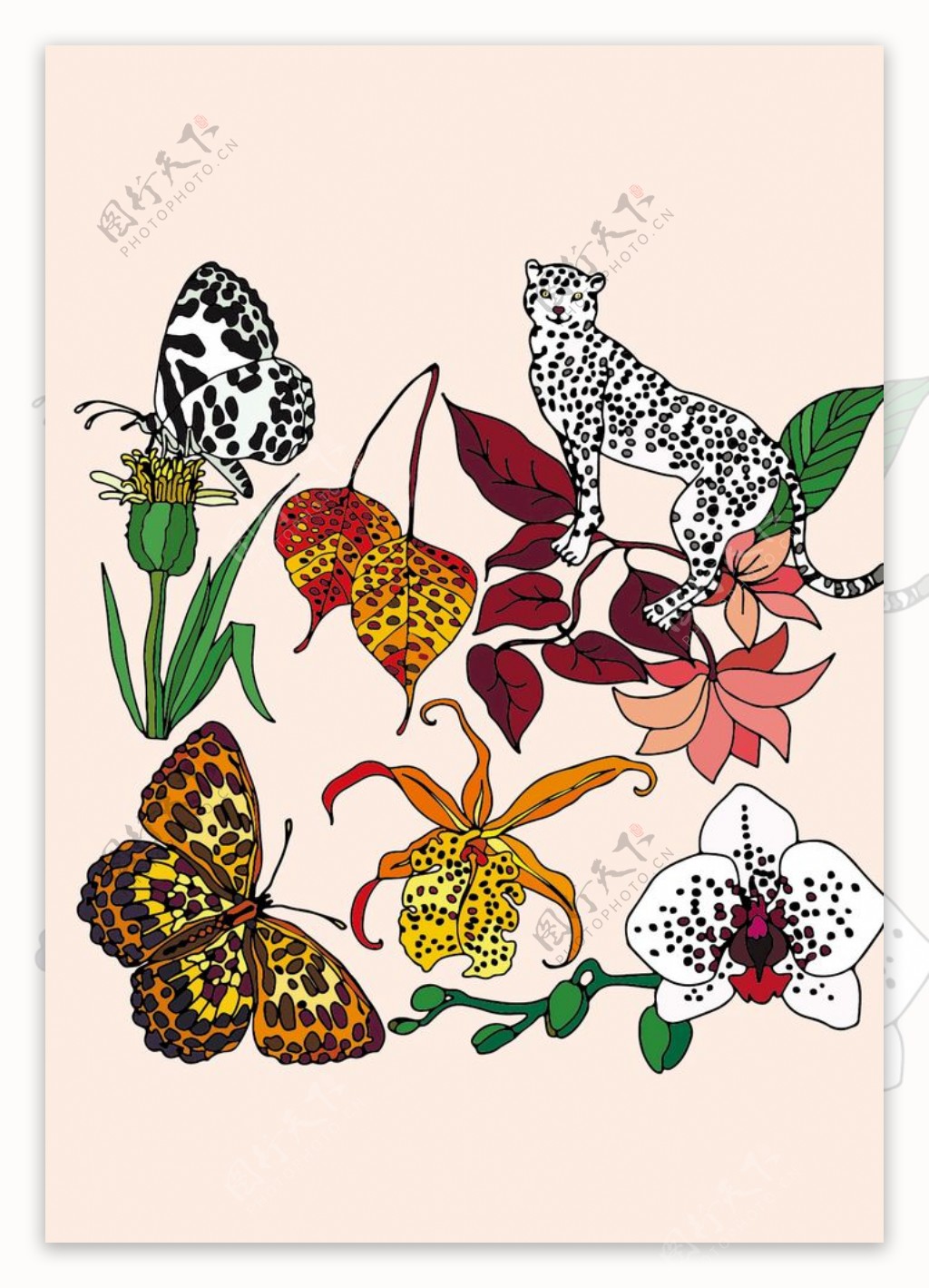 热带野生动植物印花图案图片