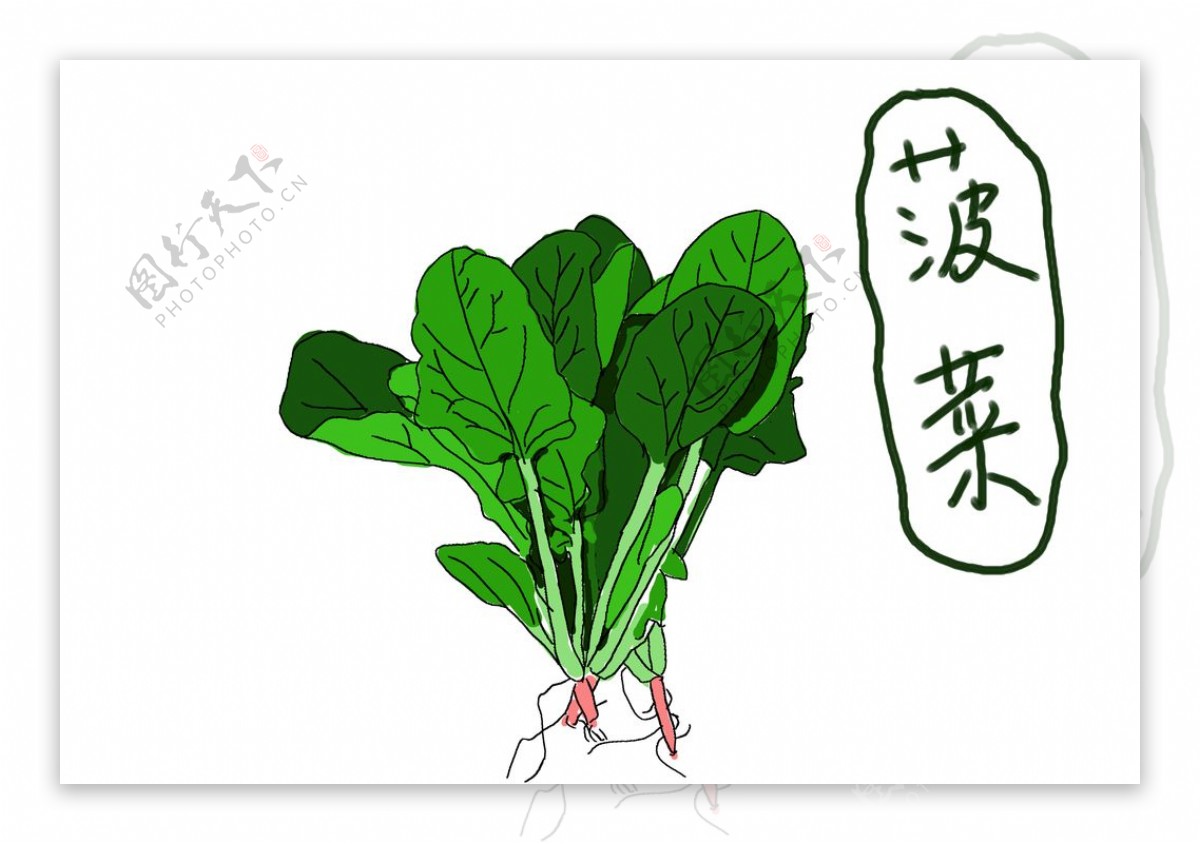 国际菠菜日 索勒 绿 欢快可爱的卡通菠菜人物 向量例证. 插画 包括有 健康, 叶子, 有机, 可笑, 查出 - 167766271