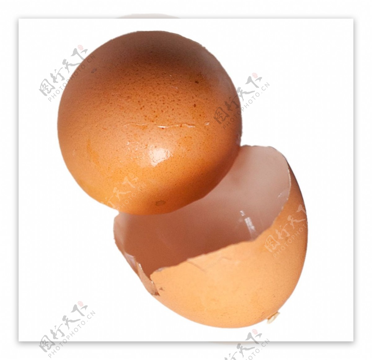 厨余垃圾鸡蛋壳抠图图片