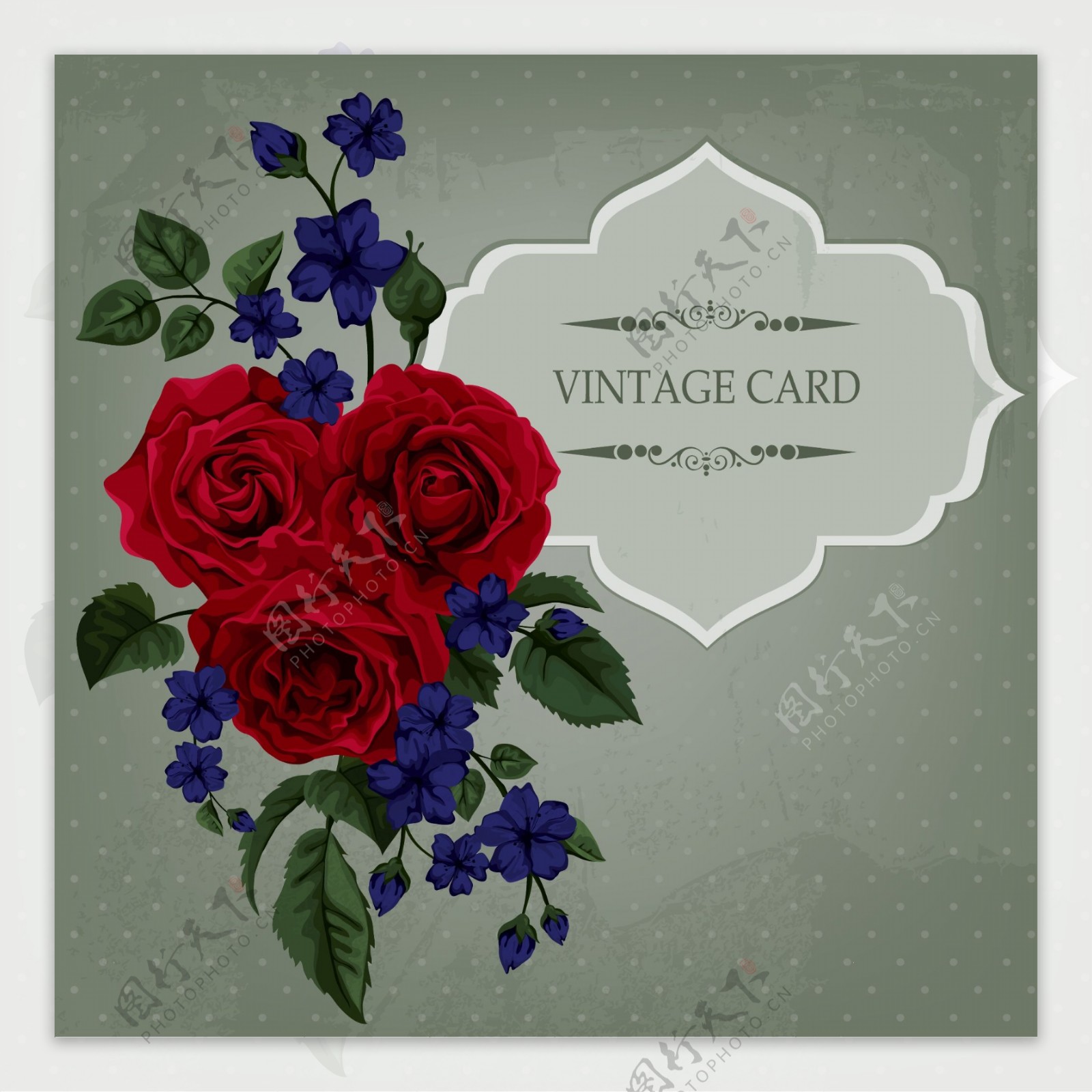 玫瑰花束装饰卡片图片