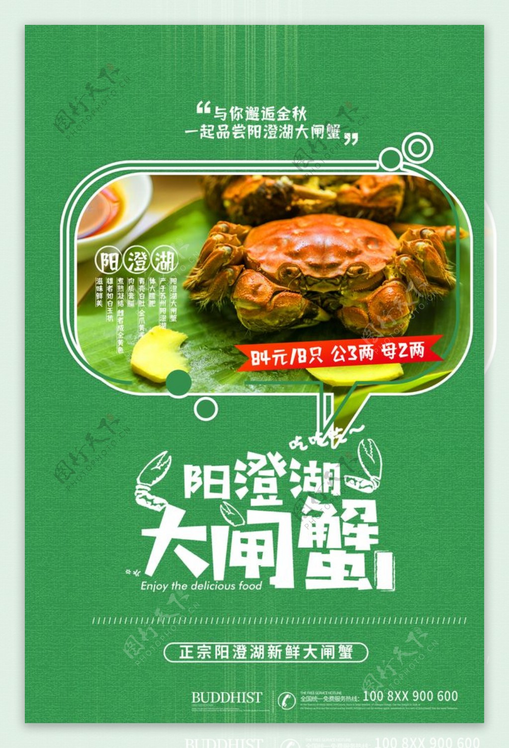 阳澄湖大闸蟹广告海报设计图片