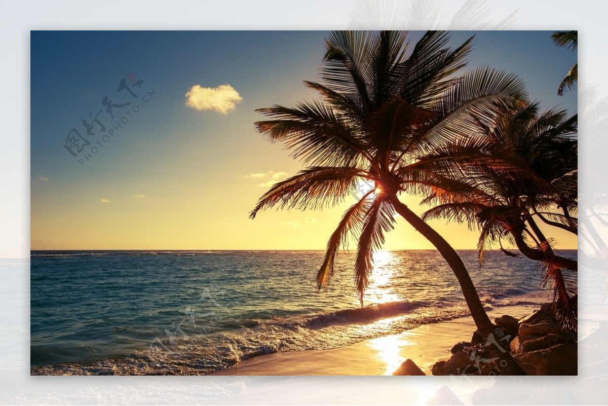 大海沙滩椰树图片素材-编号11520320-图行天下