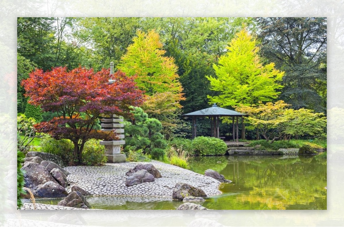 花园花圃图片