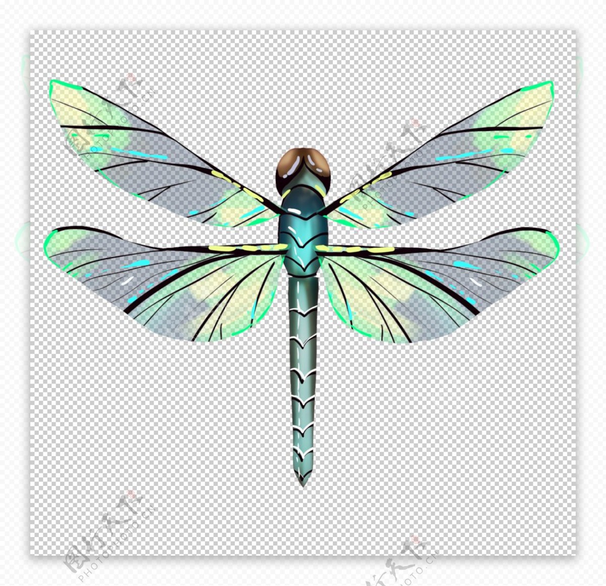 水彩手绘昆虫蜻蜓素材免费下载 - 觅知网