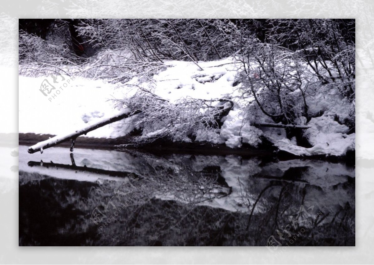 林海雪原中的溪流图片