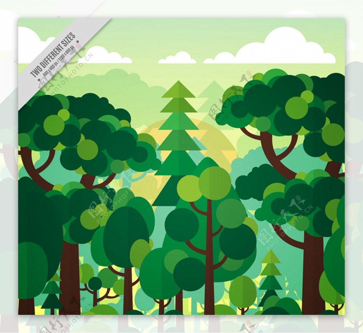 绿色森林风景图片