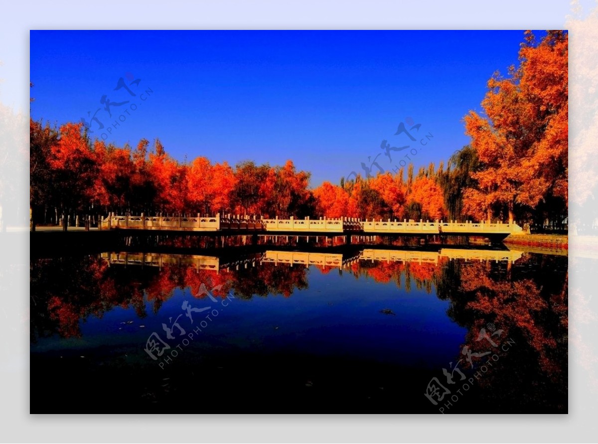 秋湖图片