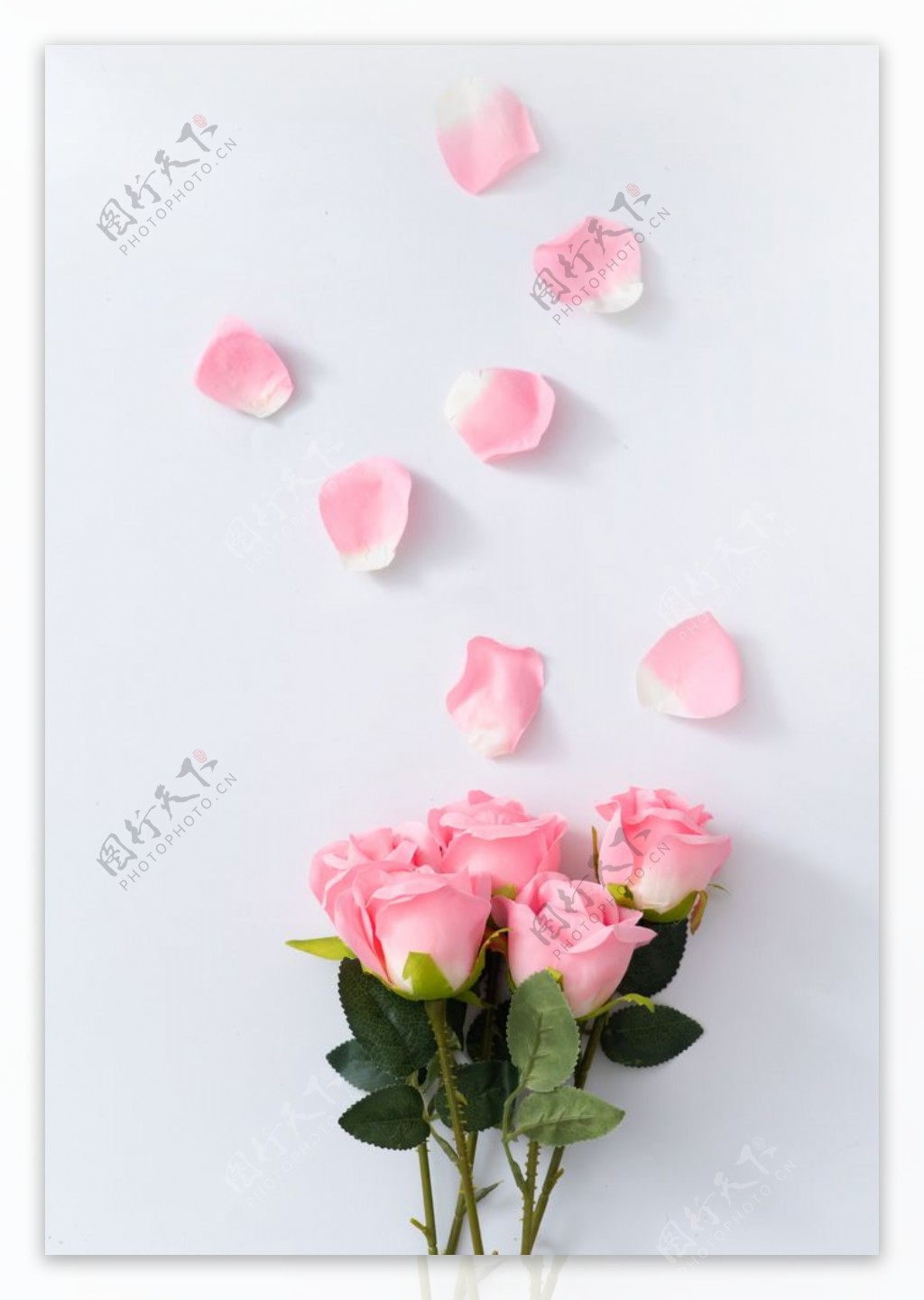 粉色玫瑰花花束花瓣图片
