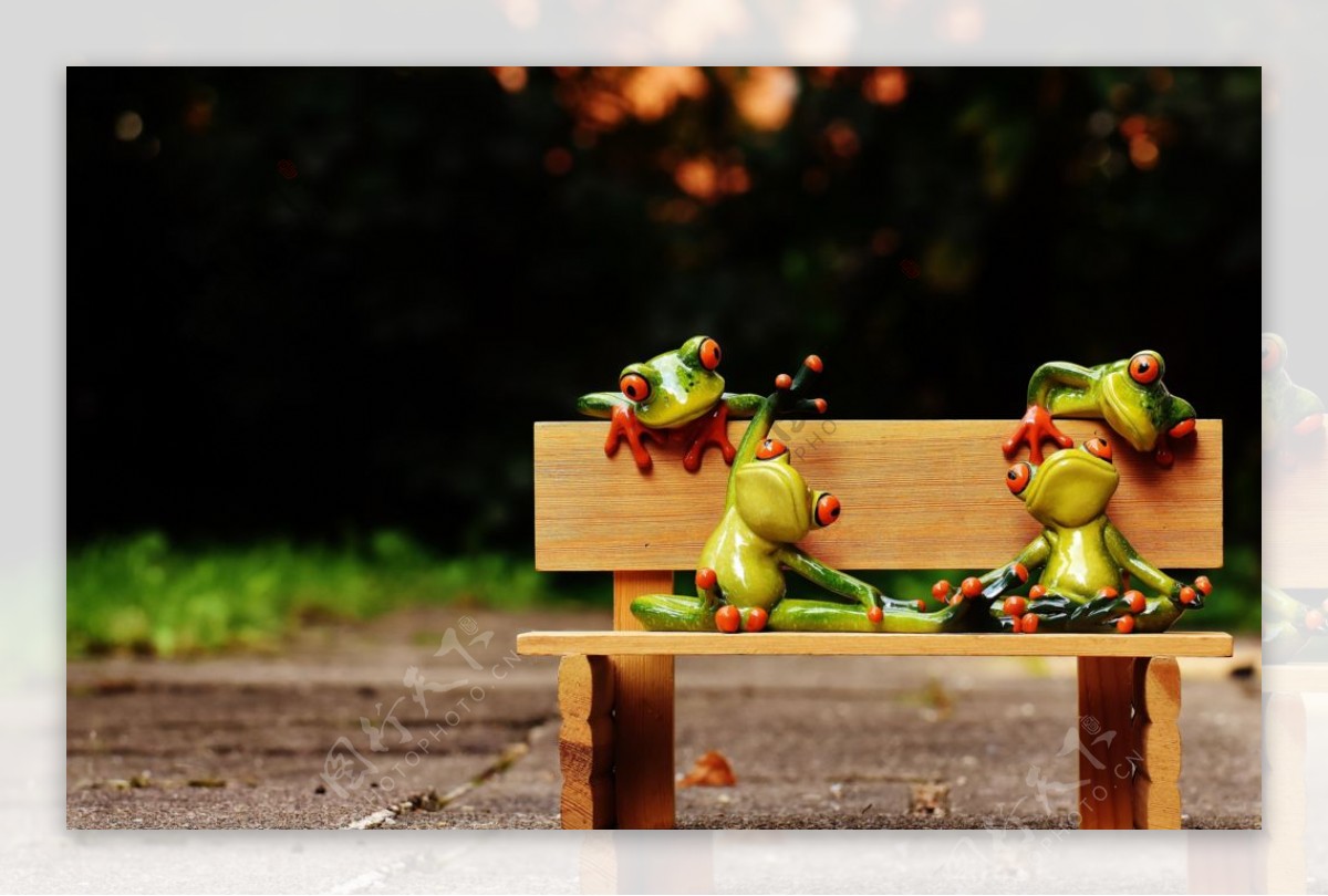 青蛙玩具图片