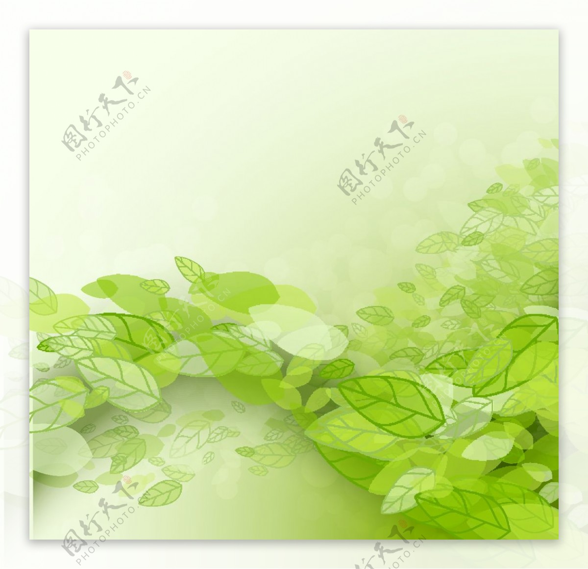绿色树叶背景图片