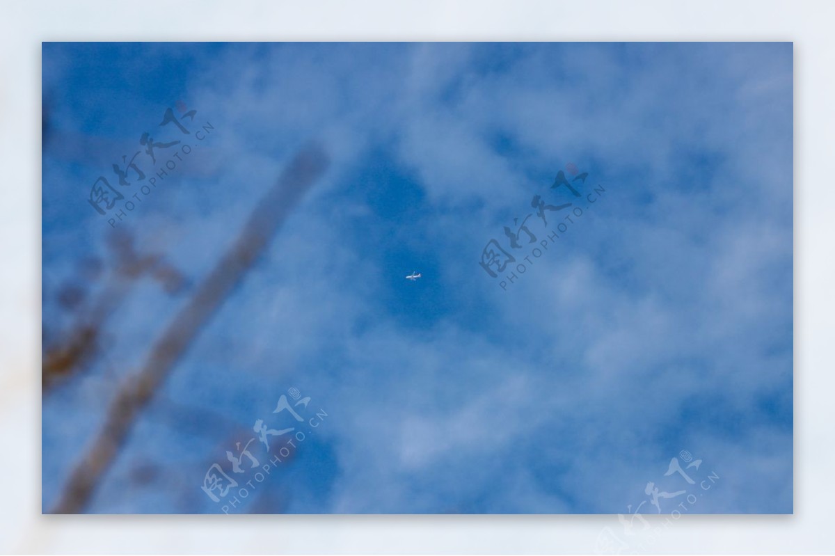 飞机白云间图片