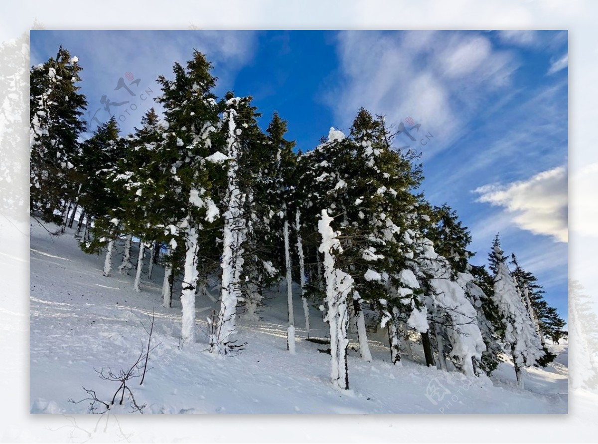 雪景图片