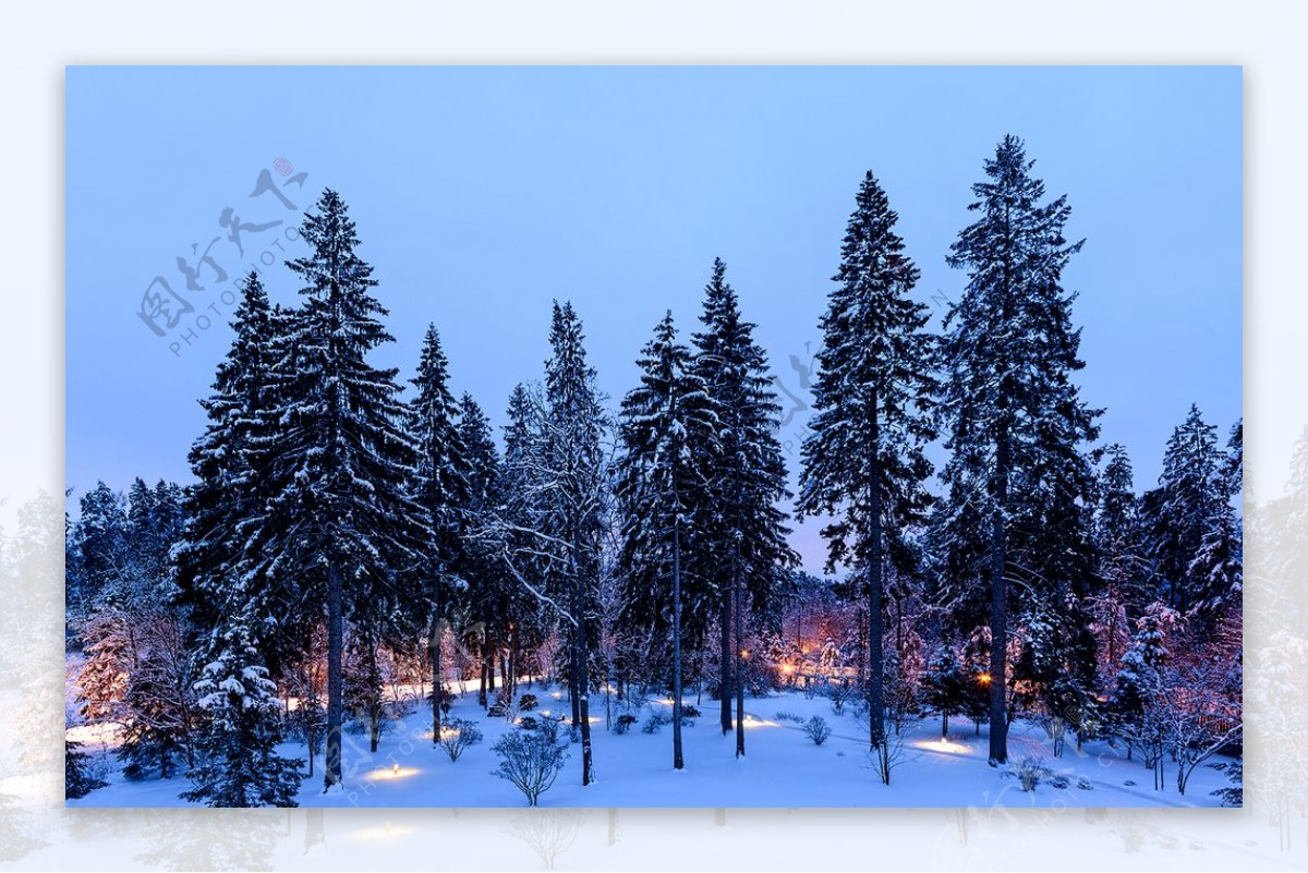 雪景图片