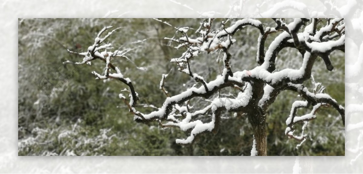 园林雪景图片