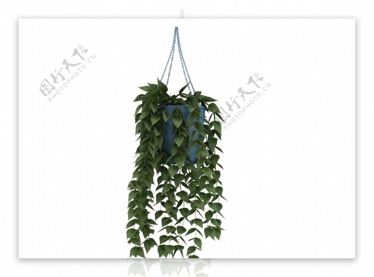 吊篮植物3d模型图片