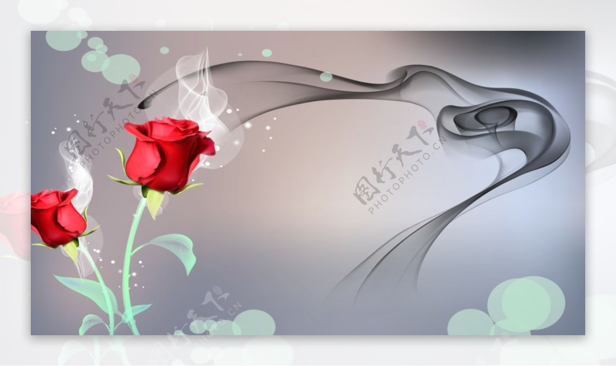 透明花卉玫瑰背景图片