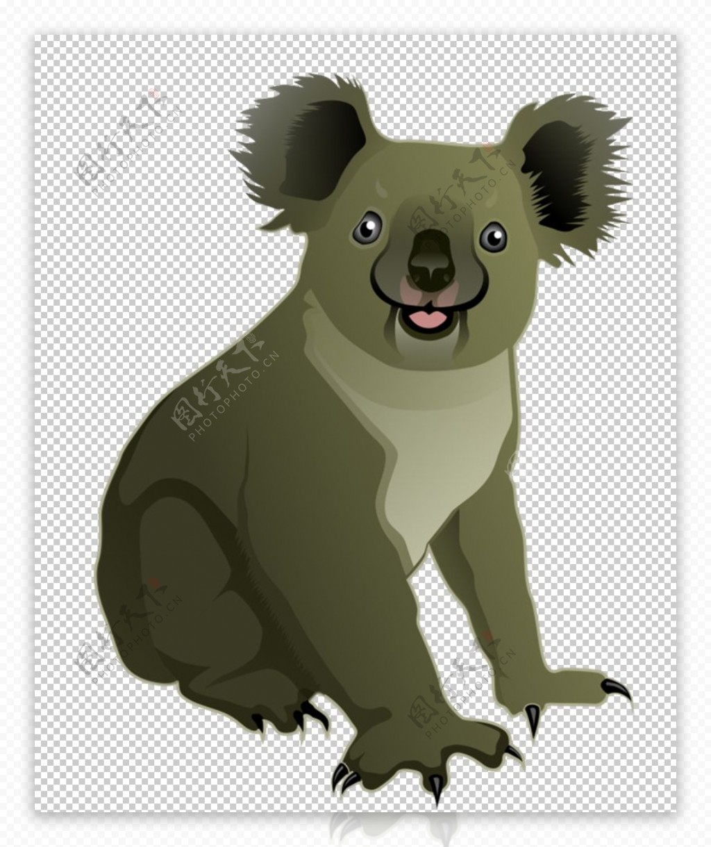 Koala Koala Dessiné à La Main Koala De Bande Dessinée Branche PNG ...