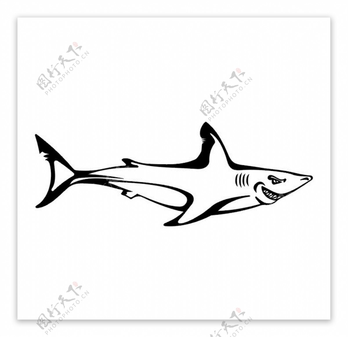 鲨鱼图案素材图片