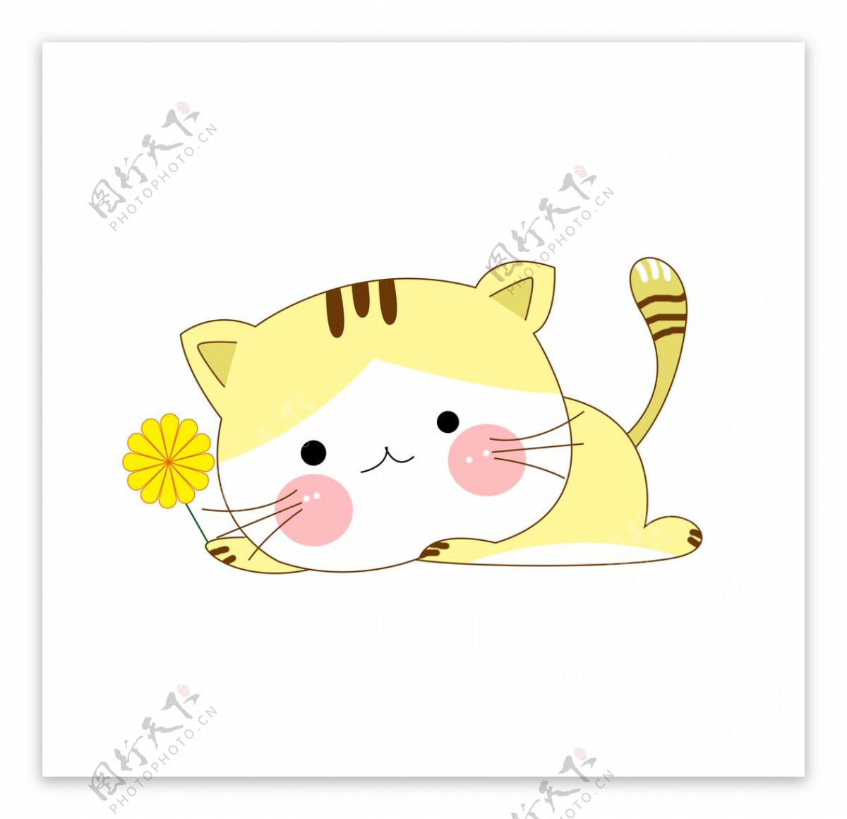 拿着太阳花的黄色小猫图片